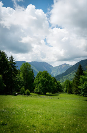 Bow Lake in Banff National Park, Alberta, Canada. The lake is surrounded by mountains and forests.の素材