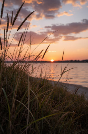 Sunset over the sea with grasses in the foreground and a cloudy skyの素材