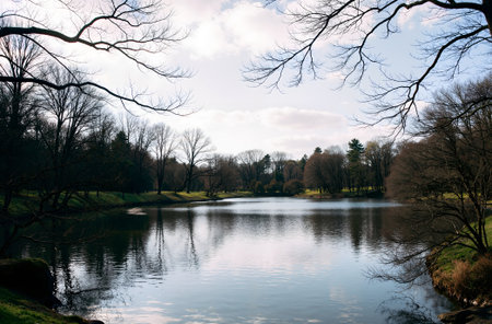 Autumn landscape with lake, trees and sky in the park.の素材