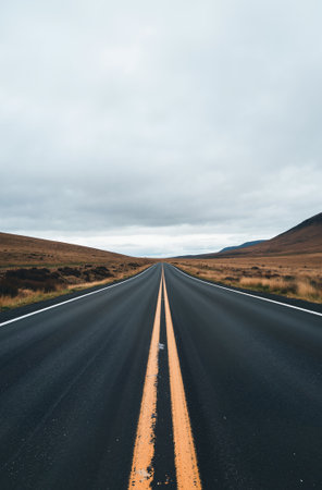 Long straight road in Iceland. The concept of travel and tourism.の素材