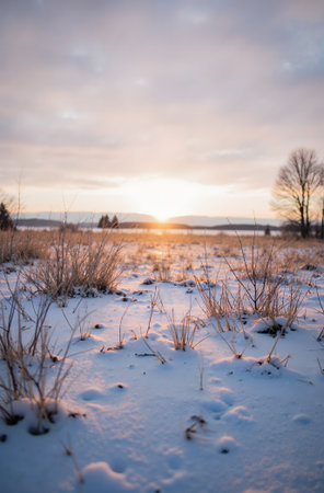 beautiful winter landscape with snow covered field and blue sky with cloudsの素材