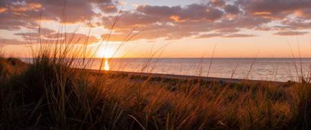 Sunset over the sea with sand dunes and grass in foregroundの素材