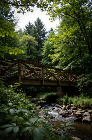 Wooden bridge over a mountain river in the forest with trees in the backgroundの素材
