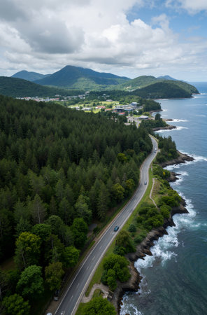 Aerial view of the road in the middle of the forest.の素材