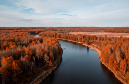 Aerial view of the autumn forest and river. Drone photography.の素材