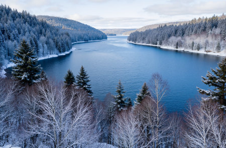 Winter landscape with frozen lake and forest. View from the top.の素材
