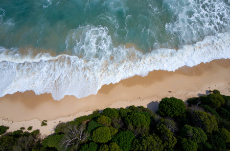 Aerial view of a beautiful beach with sand and green trees.の素材
