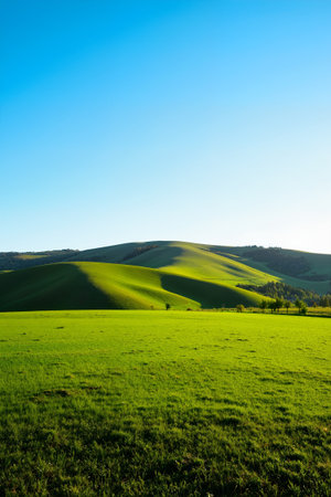 Tuscany landscape with green fields and blue sky. Italy.の素材