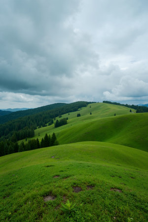 mountain grassland under cloudy sky, Carpathian, Ukraineの素材
