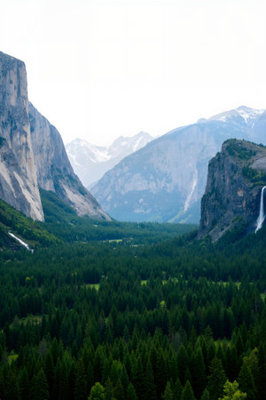 Yosemite National Park, California, United States of America.の素材