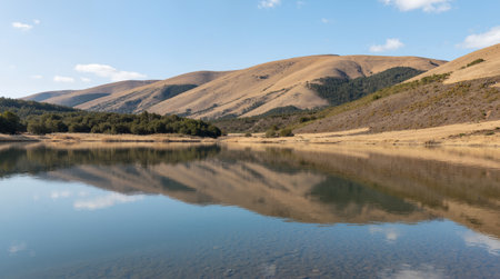 Landscape with a lake and mountains in South Island, New Zealandの素材