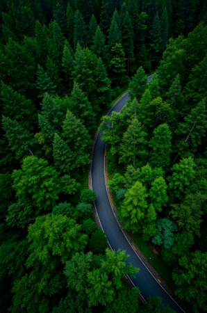 Aerial view of a winding road in the forest. Drone photography.の素材