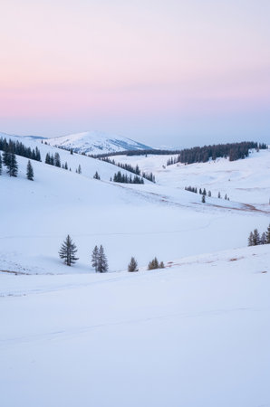 beautiful winter landscape with snowy trees on the hillside at sunsetの素材