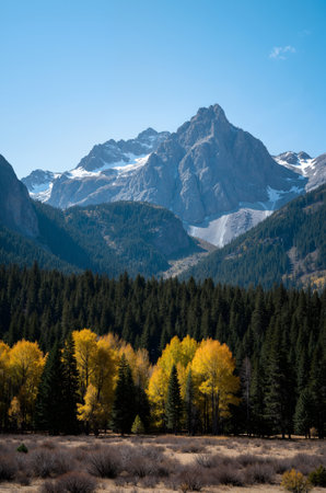 Beautiful alpine landscape with yellow aspens and snowcapped mountainsの素材
