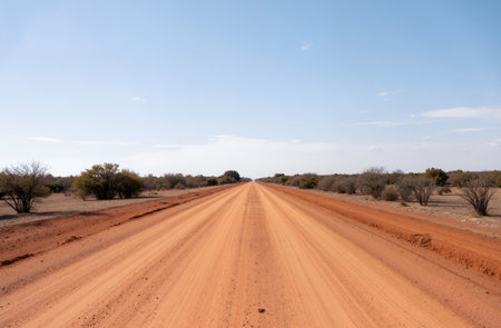 Desert road in Kgalagadi transfrontier park, South Africaの素材