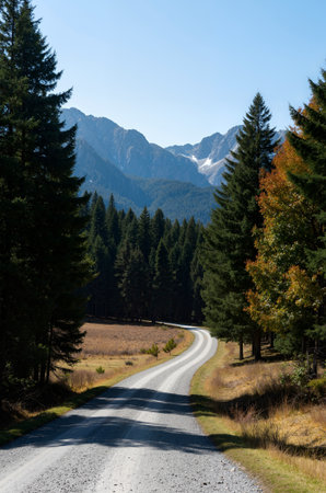 mountain road in autumn with colorful trees and snow-capped peaksの素材
