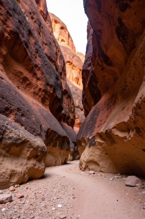 The Siq is a slot canyon in the Negev Desert in Israel.の素材