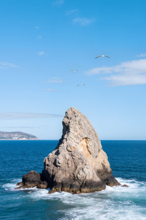 Seagulls flying over rock formation on the coast of San Sebastian, Spainの素材