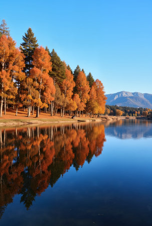 Autumn lake with colorful trees and blue sky, California, USAの素材