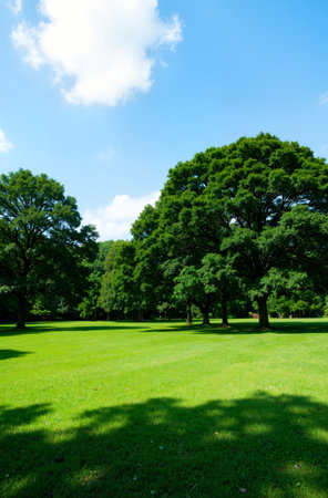 Green lawn and trees in a park with blue sky, Nature backgroundの素材