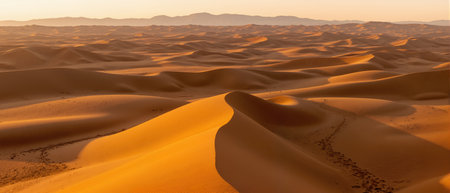 Sand dunes in the Sahara desert, Morocco. Panoramic viewの素材