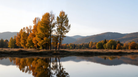 Autumn landscape with yellow trees and lake in Carpathian mountainsの素材