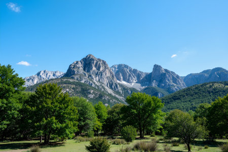 Mountain landscape with forest and blue sky, Crimea, Ukraine.の素材