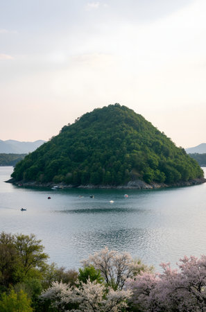 Cherry blossoms and the island of Miyajima, Japanの素材