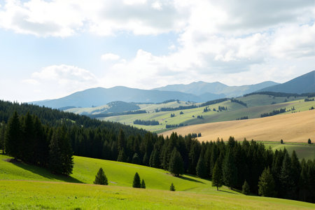 Landscape with green meadows and mountains in Carpathian, Ukraineの素材