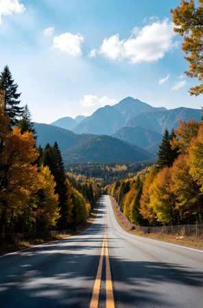 Autumn road in the mountains. Beautiful autumn landscape in the mountains.の素材