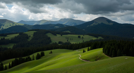 Panoramic view of the Carpathian Mountains, Ukraine.の素材