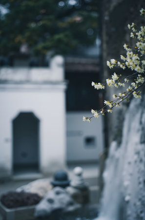 Flowers in the old cemetery in Hanoi, Vietnam.の素材