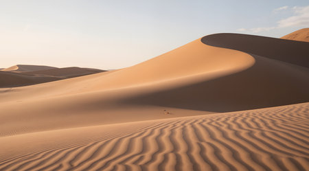the empty quarter and outdoor sand dune in oman old desert rub al khaliの素材