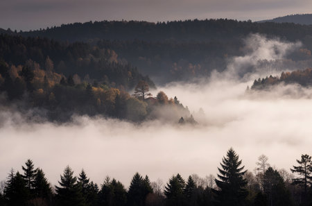 Foggy morning in the mountains. Autumn landscape with fog and treesの素材