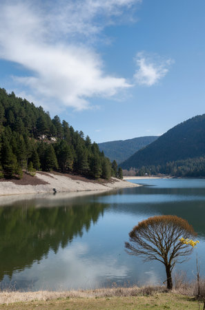 Lake in the mountains with a tree and a blue sky with cloudsの素材