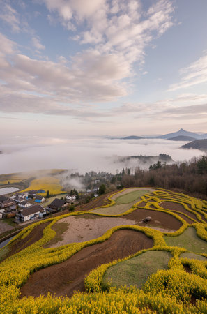 Beautiful spring landscape in south korea,Wuyuan\\"\"\""の素材
