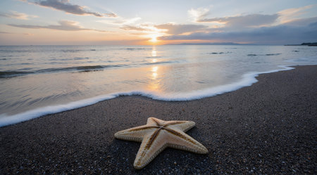 Starfish on the beach at sunset. Beautiful seascape.の素材