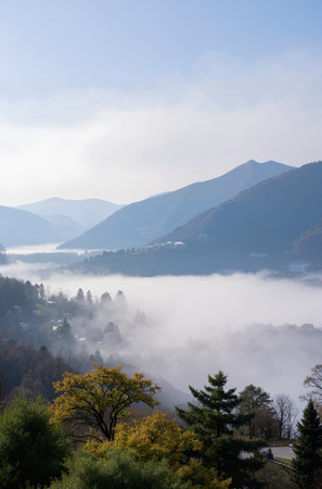 Foggy morning in the mountains of Nikko, Japan.の素材