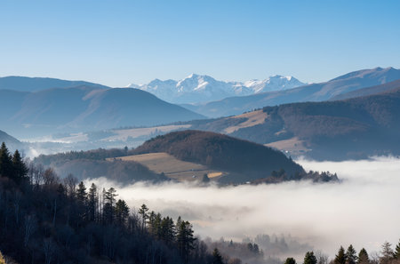 Morning fog in the Carpathian mountains. Ukraine, Europe.の素材