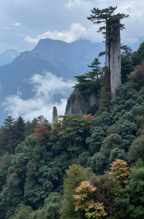 Mountain landscape with trees and clouds in Huangshan, Chinaの素材