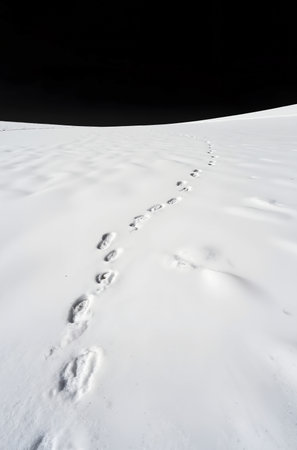 Footprints in the snow. Footprints in the snow. Footprints in the snow.の素材