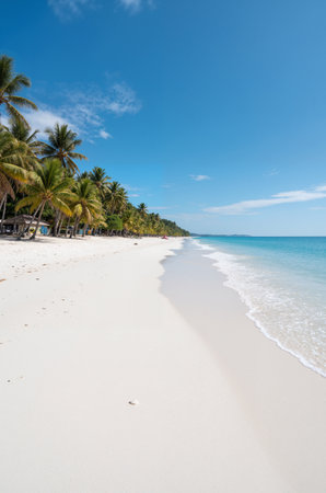 Beautiful tropical beach with coconut palm trees and white sand. Thailandの素材