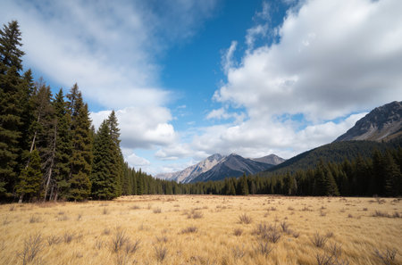 Meadow with pine trees and mountains under blue sky with cloudsの素材