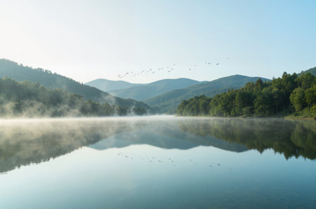 Morning fog on the lake in the Carpathian mountains, Ukraineの素材