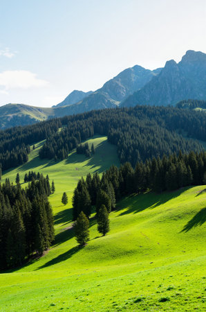 Mountain landscape with green meadow and blue sky. Dolomites, Italyの素材