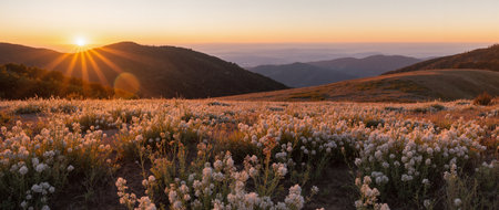 Sunset in the mountains. Panoramic view of the valley.の素材