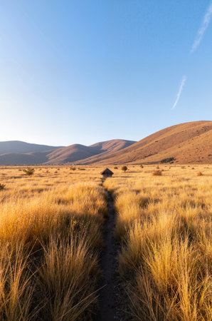 Dirt road in the dry grasslands of Namibia, Africaの素材