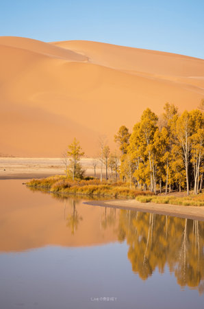 Landscape of sand dunes and lake in Deadvlei, Namibiaの素材