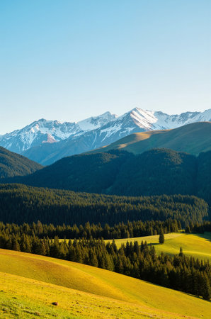Mountain landscape with snow-capped peaks and coniferous forestの素材