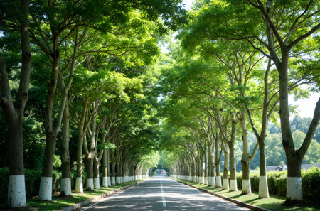 Asphalt road in the green park with row of trees in perspectiveの素材